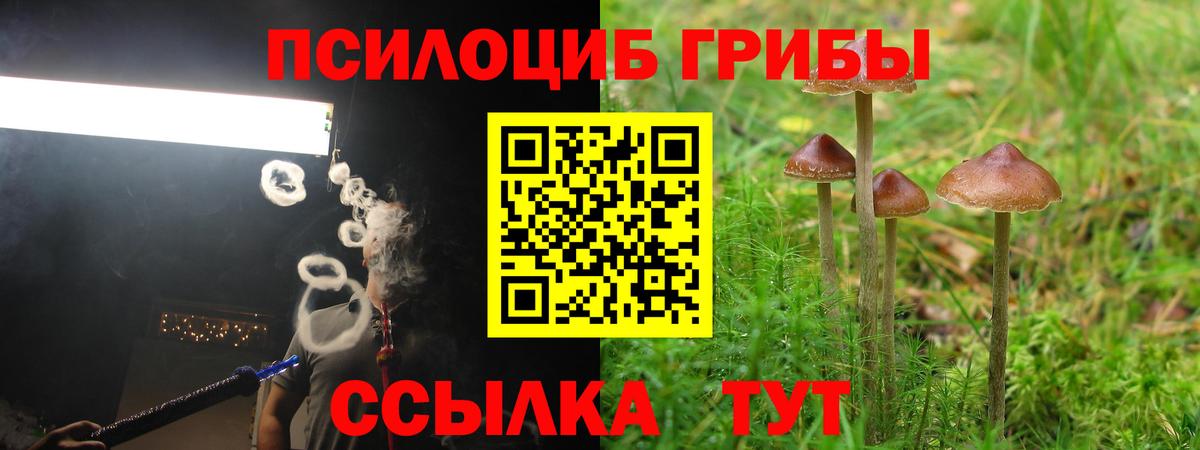 Псилоцибиновые грибы MAGIC MUSHROOMS  Вход с VPN  Десногорск 